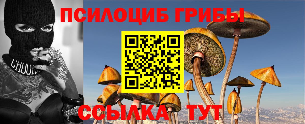Псилоцибиновые грибы ЛСД  Вход с VPN  Жигулёвск 