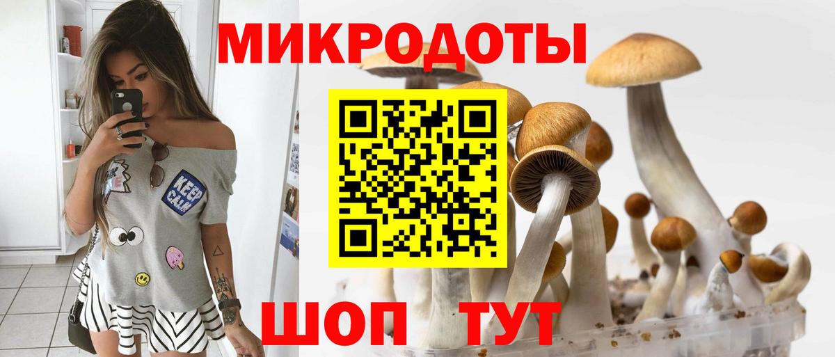 Псилоцибиновые грибы прущие грибы Жигулёвск